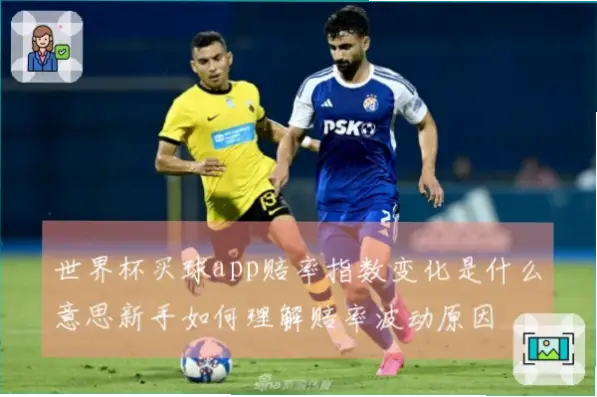 世界杯买足球赔率波动怎么看？
